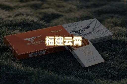 福建云霄